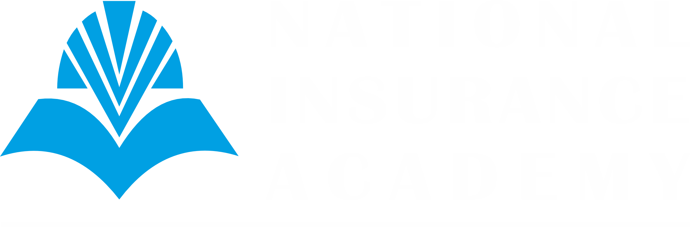 National Insurance Academy